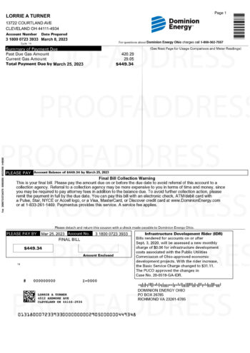 utility bill Dominion Energy