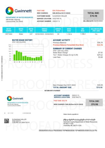 utility bill Gwinnett