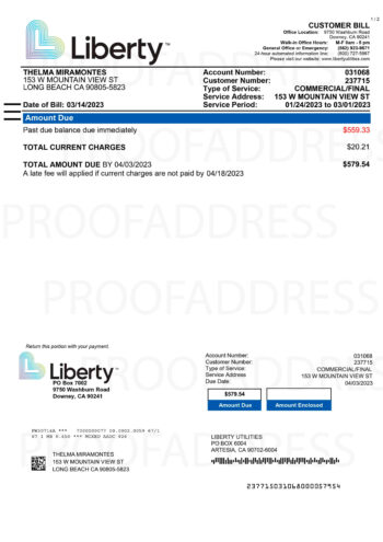 utility bill Liberty
