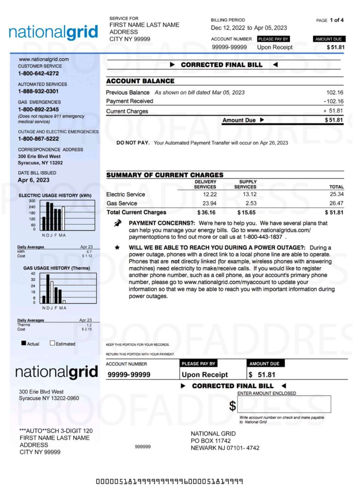 Order utility bill National Grid Instant Delivery Custom info