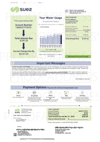 utility bill mysuezwater