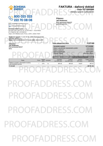 utility bill Bohemia energy