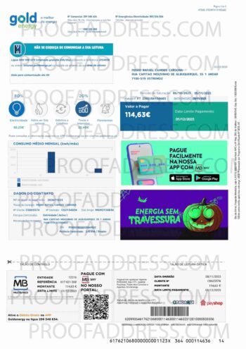 utility bill Gold Energy