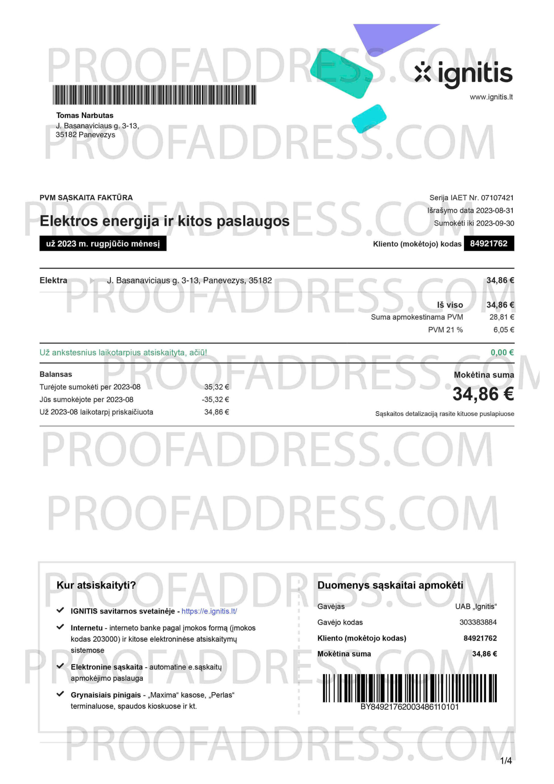 Editing Utility Bill Ignitis energy Instant Delivery Custom Info