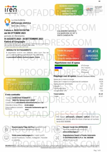 utility bill Irenlucegas