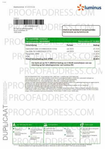 utility bill Luminus