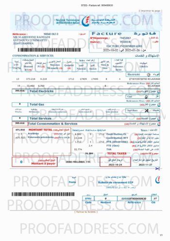 utility bill Société tunisienne de l'électricité et du gaz