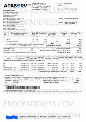 utility bill APASERV SATU MARE S