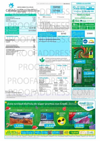utility bill Calidda