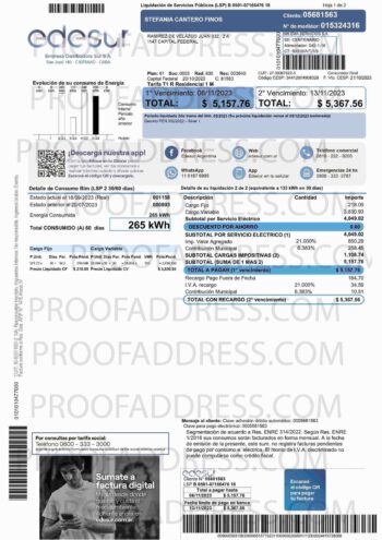 utility bill Edesur