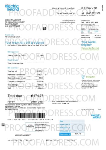 utility bill Electric ireland