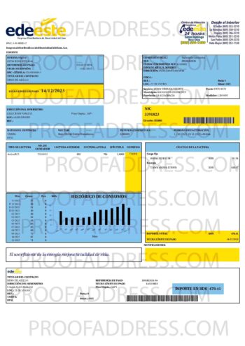 utility bill Electricidad del Este