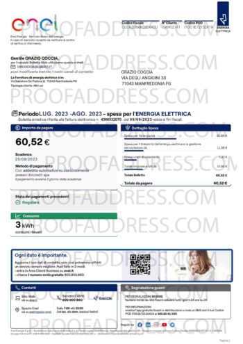 utility bill Enel bill