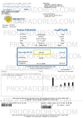 utility bill National de l'Electricite et de l'Eau Potable
