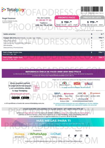 utility bill Total Play