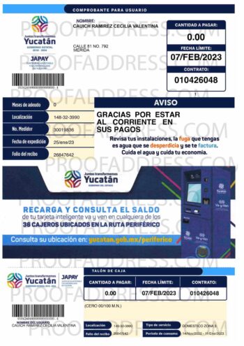 utility bill Yucatan