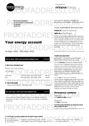 utility bill Octopus energy