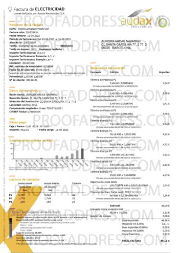 utility bill Audax Renovables