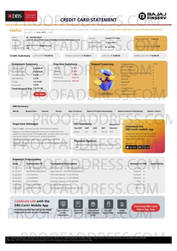 bank statement DBS credit card