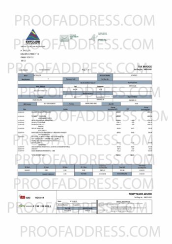 utility bill Emfuleni
