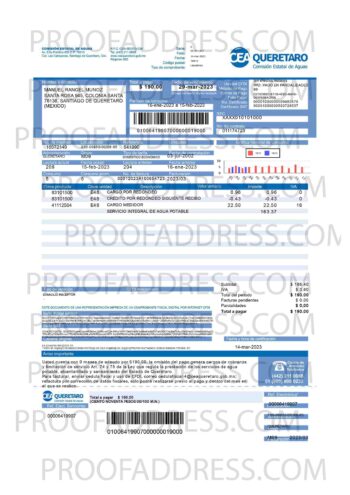 bank statement Ceaqueretaro