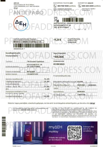 utility bill DEI electricity