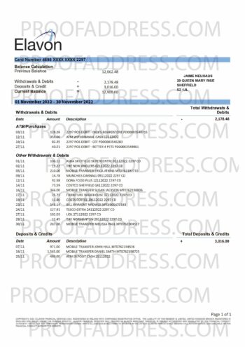 bank statement Elavon