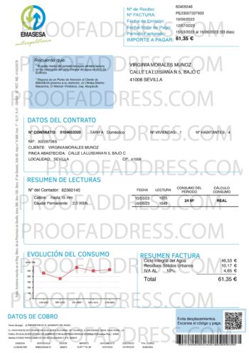 utility bill Emasesa