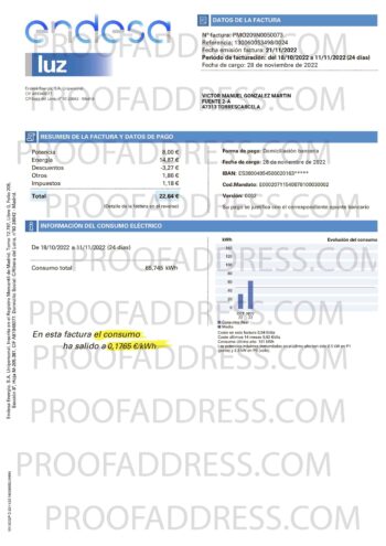 utility bill Endesa energy