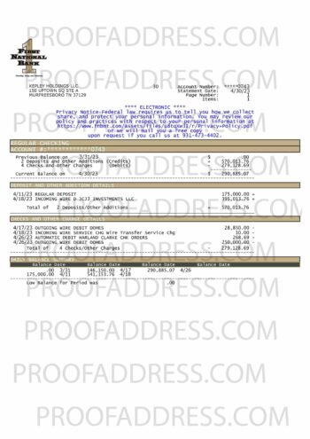 bank statement First national Bank