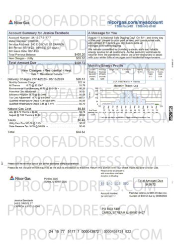 utility bill Nicor gas