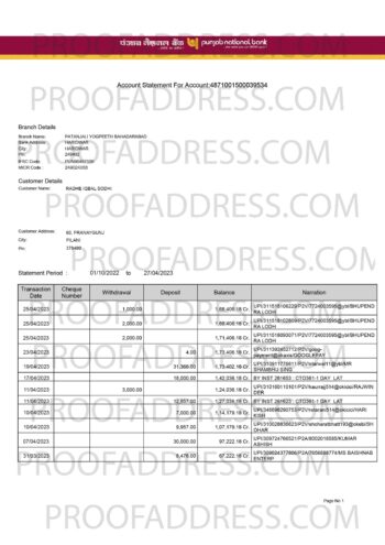 bank statement Punjab National