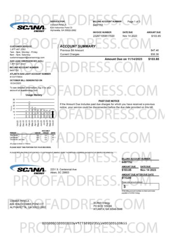 utility bill Scana energy