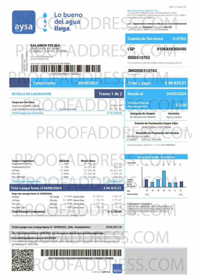 utility bill AYSA