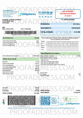 utility bill Aguas Magallanes