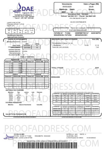 utility bill DAE Tapurah