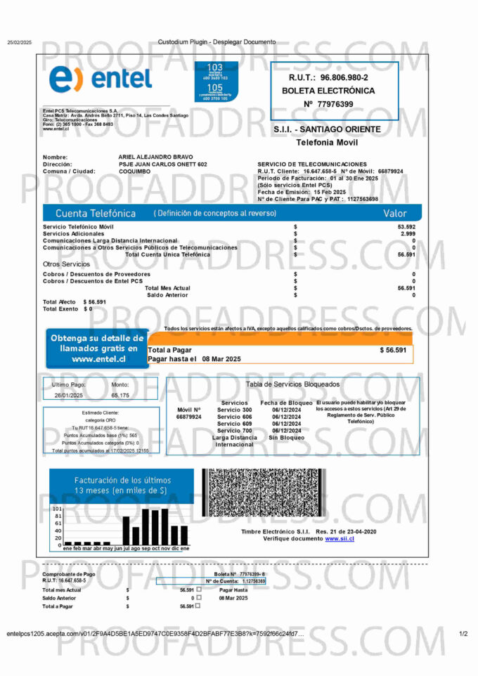 utility bill Entel