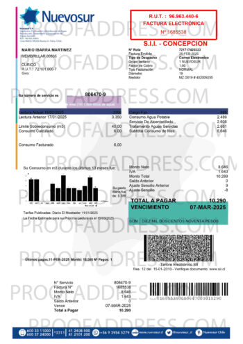 utility bill Nuevosur