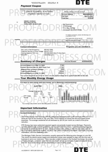 utility bill DTE