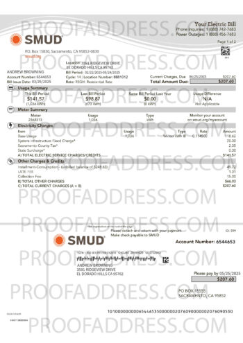 utility bill SMUD