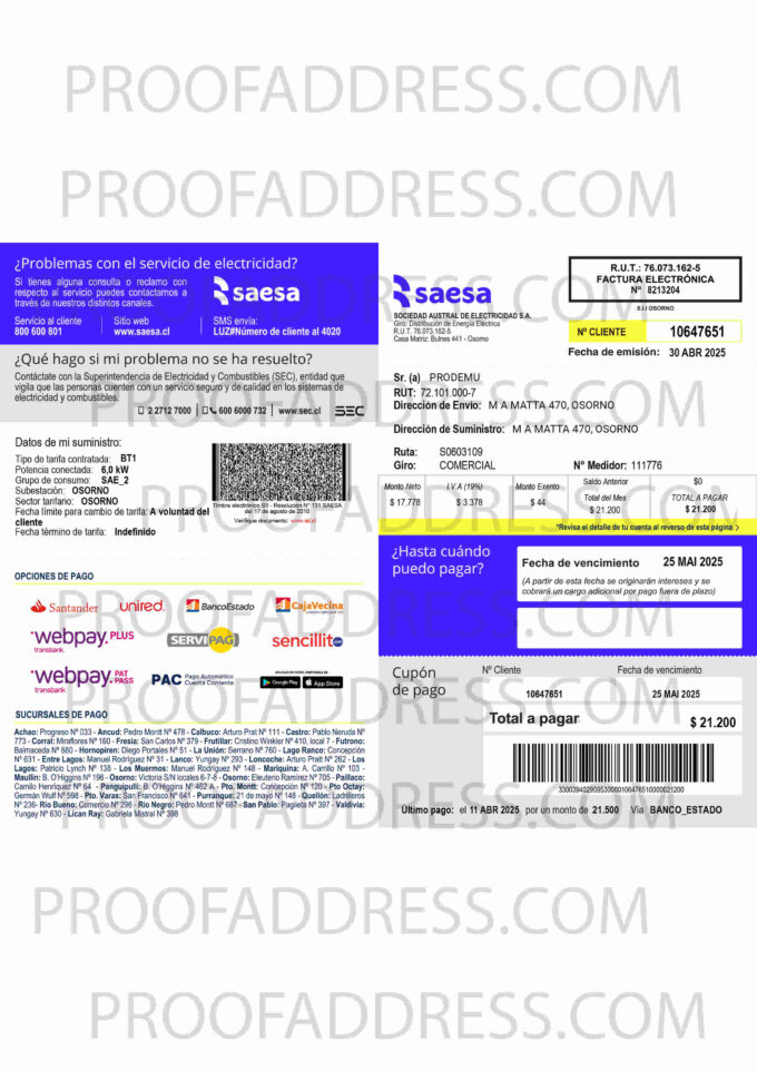 utility bill SAESA
