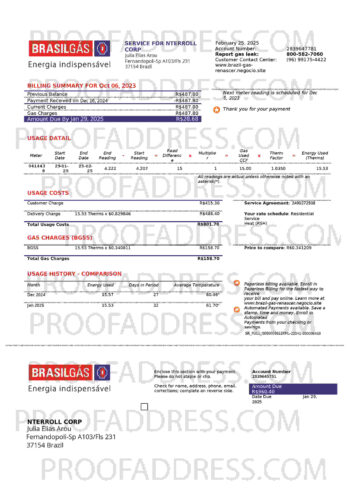 utility bill BRASILGAS