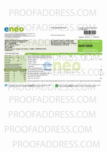 utility bill ENEO