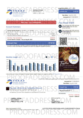 utility bill TECO