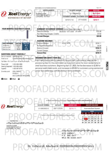 utility bill XCEL ENERGY