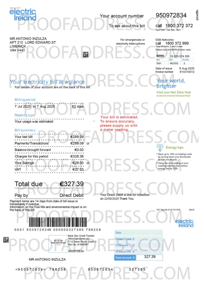 utility bill Electric Ireland