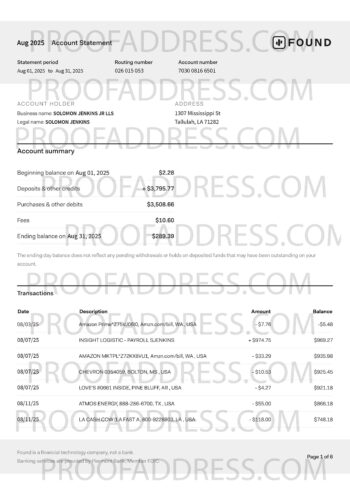 bank statement FOUND