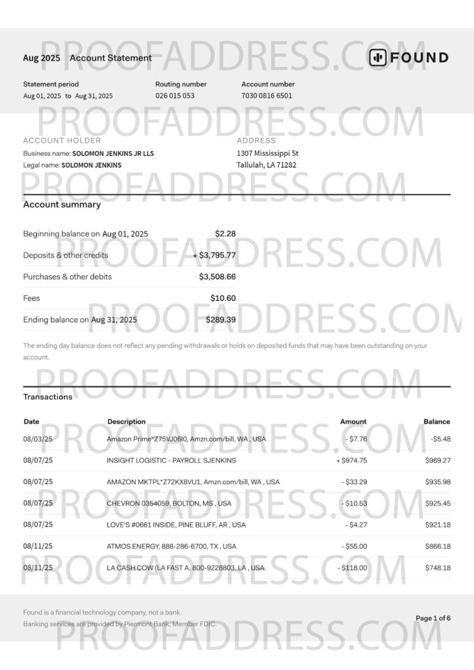 bank statement FOUND
