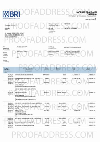 bank statement BRI