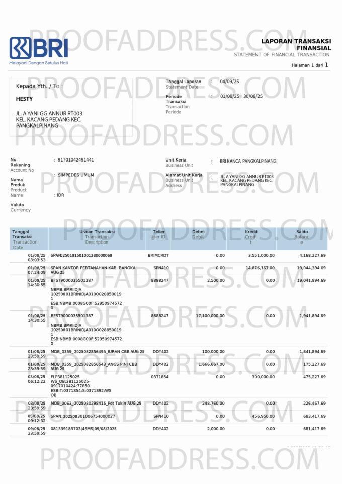 bank statement BRI
